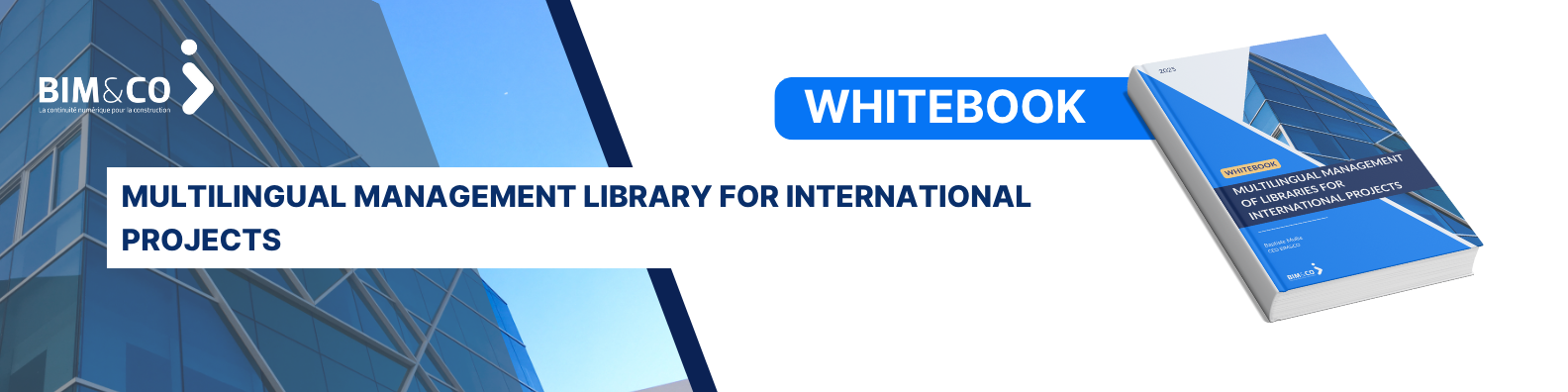 Gestion multi-lingues des bibliothèques pour projets internationaux (9)